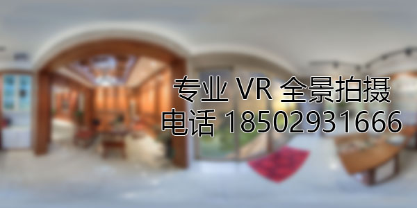 罗定VR全景技术在未来可能的发展方向和应用领域?